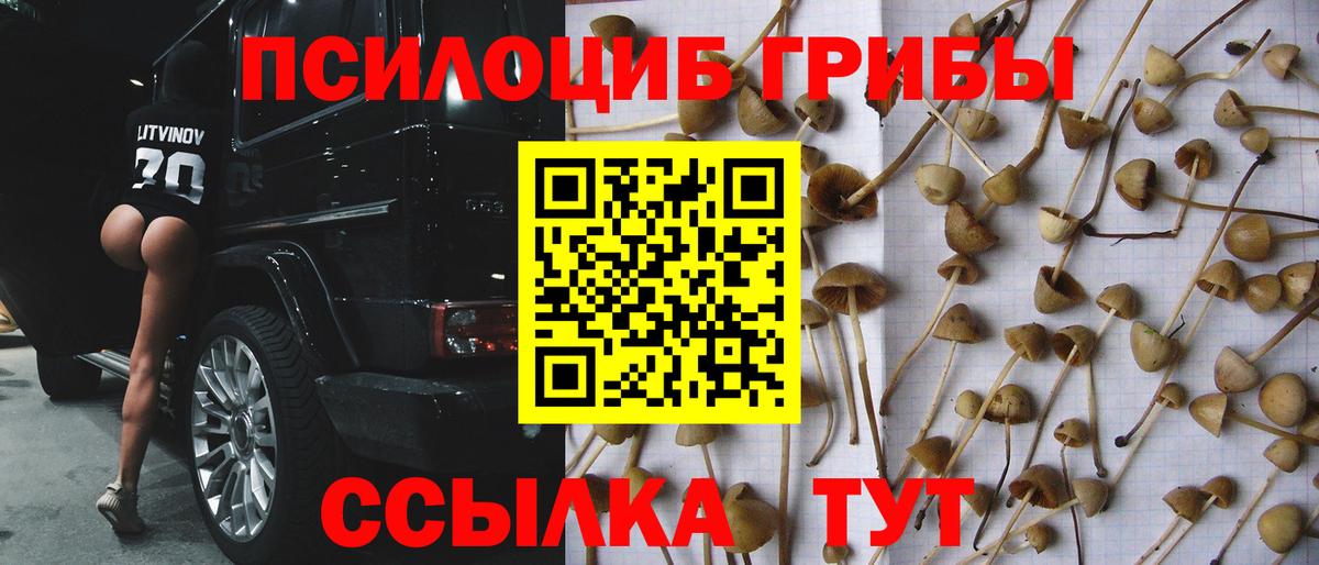 Галлюциногенные грибы ЛСД  Вход с VPN  Псилоцибиновые грибы ЛСД  Кингисепп 
